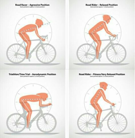 Fiets positie: sportief of recreatief Bike Infographic, Freetime Activities, Riding A Bicycle, Bike Poster, Cycling Tips, Road Bike Women, I Want To Ride My Bicycle, Road Bike Cycling, Bicycle Art