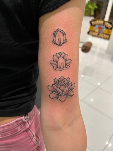 Lotus Flower Growth Tattoo, Lotus Flower Tattoo Bicep, Red Ink Lotus Tattoo, Money Tree Tattoo Designs, Lotus Flower Tattoo Black And White, Lotus Flower Tattoo On Arm, Blooming Lotus Tattoo, Lotus Tattoo Forearm, Lotus Flower Forearm Tattoo