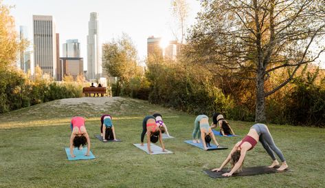 Yoga Park Outdoor, Yoga In The Park, Calm Corner, Group Yoga, Landscape Structure, Group Of Women, Bun In The Oven, Group Fitness Classes, Outdoor Gym