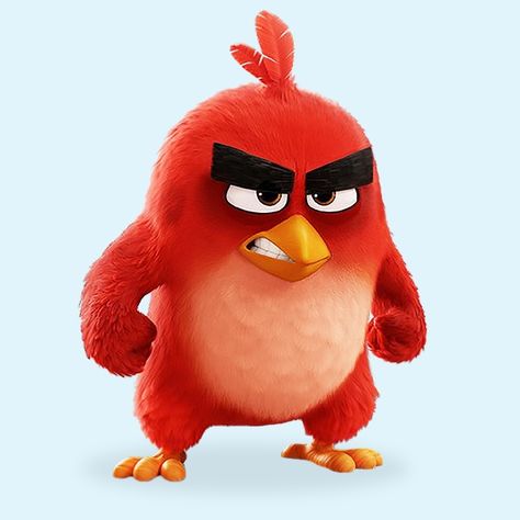 Crazy Dp, Angry Birds Movie Red, Angry Brids, Angry Bird Pictures, Angry Birds 2 Movie, Angry Birds Characters, Red Angry Bird, Birds Movie, Cartoon Movie Characters