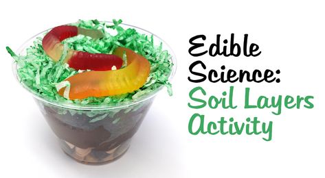 Superteacherworksheets Blog Edible Soil Layers Project, Edible Soil Layers, Soil Worksheet, Edible Soil, Layers Of Soil, Nature Snacks, Soil Activities, Edible Science, Ffa Ideas