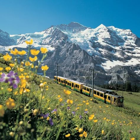 Aesthetic Train, Quotes Luxury, Indian Train, Travel Train, Switzerland Cities, Amtrak Train, Swiss Travel, Luxury Train, Travel Painting