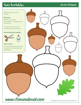 Acorn Template, Fall Sensory, Felt Templates, Acorn Crafts, Felt Toys Patterns, Felt Animal Patterns, Baby Rosa, Shape Templates, Kid Art