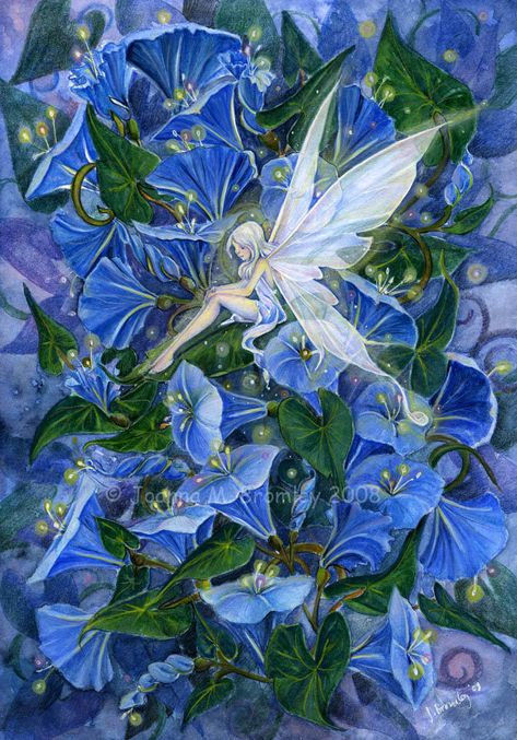 Fairy Pictures, Fairies Elves, Fairy Magic, Flower Fairies, Fairytale Art, Beautiful Fairies, Fantasy Fairy, Fairy Angel, Flower Fairy