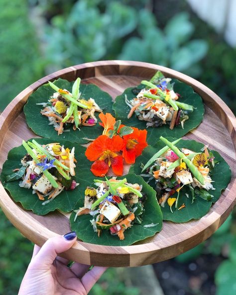 Nasturtium wraps with green papaya salad, Haloumi, garden greens, and edible flowers. I can’t even describe how incredible this tastes! So easy to make! Nasturtiums grow so rapidly and i love coming up with new and interesting ways to use them. Healthy mini appertisers from the garden. Perfect for backyard garden celebrations! Nasturtium Recipes, Edible Flowers Recipes, Green Papaya Salad, Foraging Recipes, Foraged Food, Green Papaya, Papaya Salad, Dandelion Recipes, Garden Recipes