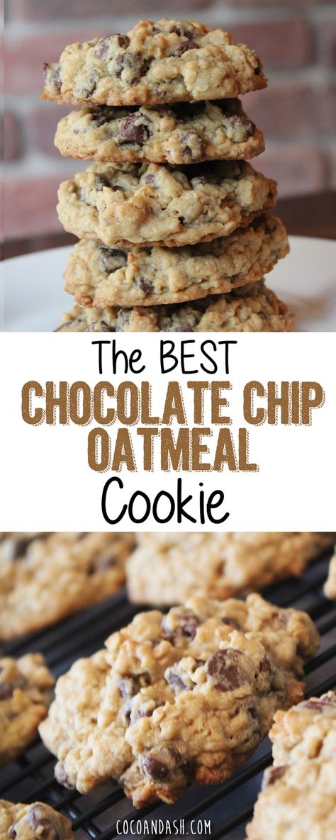 Chocolate Chip Oatmeal Cookies, Best Chocolate Chip, Slow Cooker Desserts, Oatmeal Chocolate Chip, Oatmeal Cookie, Oatmeal Chocolate, Oreo Dessert, Best Chocolate Chip Cookie, Oatmeal Chocolate Chip Cookies