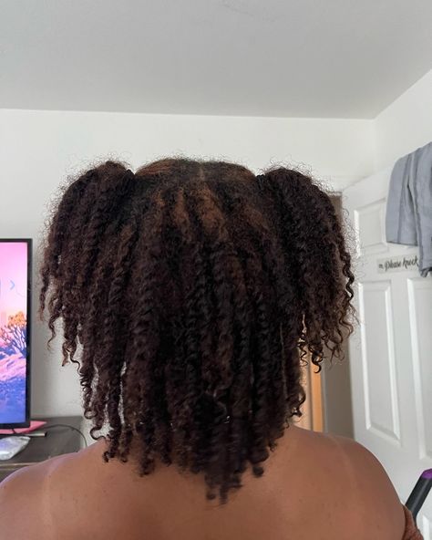 Two strand Locs Loc Starter Methods, Starter Locs Twist Method, Two Strand Twist Natural Hair Locs, Two Strand Twist Loc Journey, Female Starter Locs, Two Strand Twist Starter Locs Styles, Start Locs With Two Strand Twist, Two Strand On Short Locs, Two Strand Twist Locs With Beads