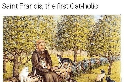 100 Catholic Memes That Will Have You Sinfully Laughing For Hours Catholic Jokes, Catholic Humor, Church Memes, Catholic Memes, Jesus Memes, Christian Jokes, Saint Francis, Saint Anthony, Catholic Quotes