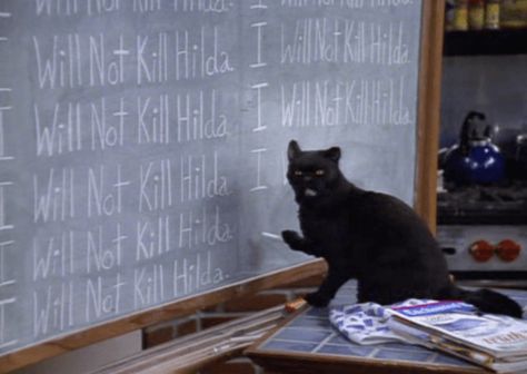 Sabrina Cat, Salem Saberhagen, Salem Cat, Cats Quotes, Helloween Wallpaper, Sabrina Witch, Quotes Humor, Sabrina Spellman, Cat Quotes Funny