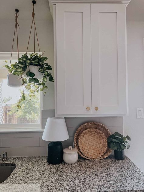 Hanging Plants Around Window, Hanging Plants From The Ceiling, Bay Window Hanging Plants, Hanging Plants Indoor Kitchen Window, Hanging Plant In Kitchen, Hanging Plants For Bathroom, House Plants In Kitchen, Plants Hanging In Kitchen Window, Hanging Plants Above Kitchen Sink