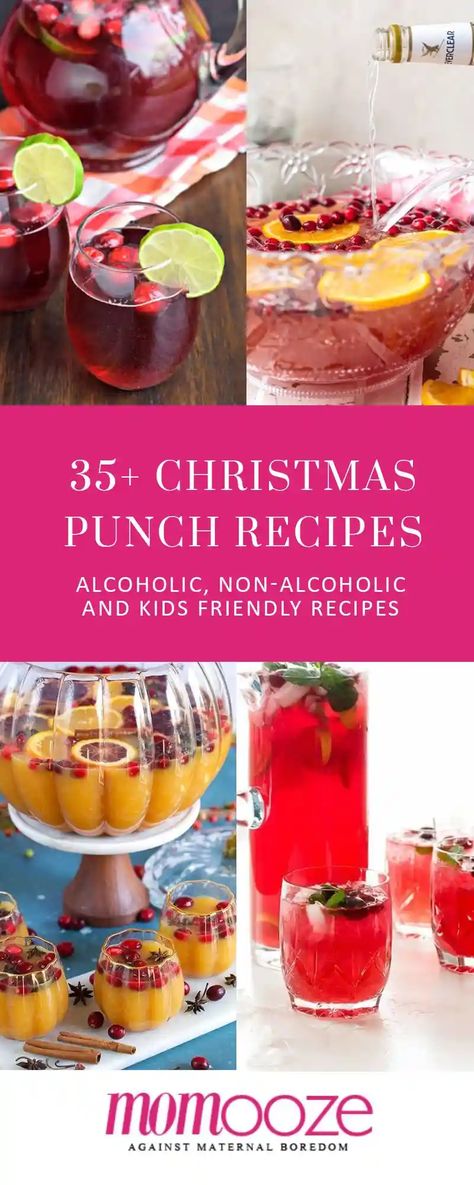 35+ Easy Christmas Punch | momooze.com Christmas Punch Alcoholic, Punch Alcoholic, Pomegranate Punch Recipes, Easy Christmas Punch, Christmas Party Punch, Best Christmas Punch Recipe, Apple Sangria Recipes, Punch Recipes For Kids, Christmas Sangria Recipes