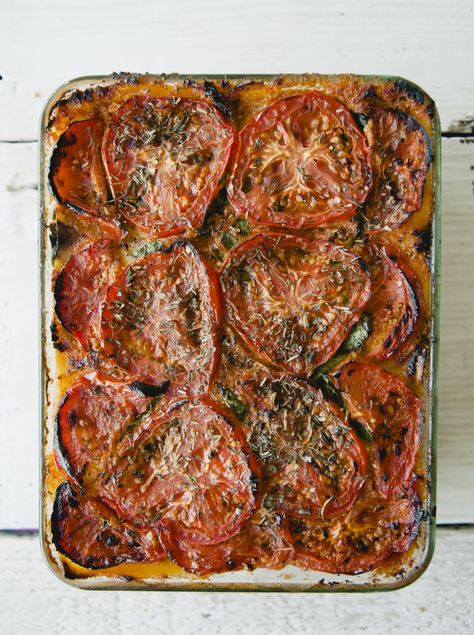 ROASTED TOMATO PAELO VEGAN LASAGNA // THE KITCHY KITCHEN x @sweetlaurel Sandwich Vegetarian, Sweet Laurel, Vegetarian Lasagna Recipe, Tomato Stew, Veggie Lasagna, Vegan Lasagna, Vegetarian Lasagna, Roasted Tomato, Savory Recipes