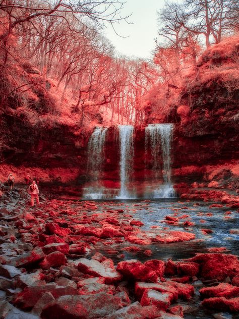 OLYMPUS DIGITAL CAMERA Light Red Aesthetic, Painting A Flower, Light Waterfall, Red Backgrounds, Red Landscape, Environment Photography, Ideas For Drawing, Red Forest, Infrared Photography