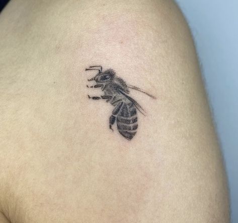 Beatle Tattoo Insect Simple, Beatle Tattoo, Bug Tattoo, Bugs, Black And Grey, Tattoos, Grey, Black, Bugs And Insects