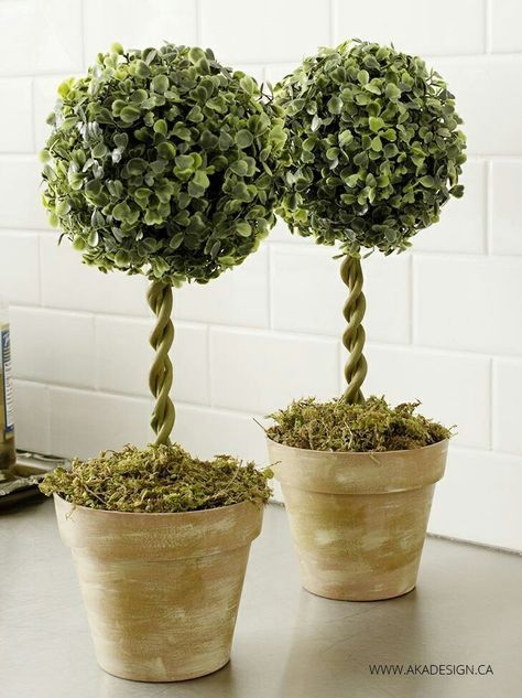 Fit and hot glue floral foam into pots. Insert a skewer stick in the middle of the foam. Glue the greenery ball. Paint the stick in a mossy green. Wrap modelling clay around the stick to appear like a vine. Paint the clay in same mossy green. Cover the top of the pot with moss. Diy Topiary Trees, Diy Topiary, Topiary Diy, Egg Tree, Easter Decorating, Dollar Store Diy Projects, Dollar Store Hacks, Topiary Trees, Diy Dollar Store Crafts