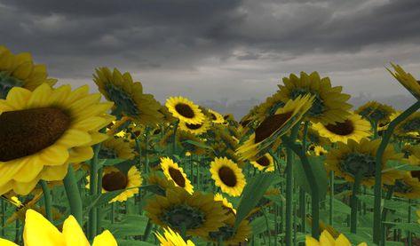 Sims 2 Cc, Sunflower Field, Sunflower Fields, Brick And Stone, Sims 2, Flower Field, I Am Game, Sims 4, Sunflower