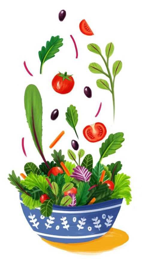 Salad Salad Art, Salad Painting, Food Graphic Design Illustration, Meal Illustration, Salad Graphic Design, Salad Art Drawing, Salad Doodle, Salad Drawing Illustration, Salad Illustration