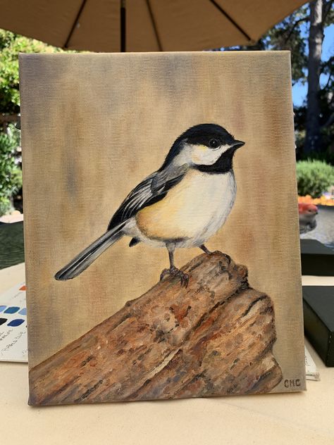 Birds To Paint, Acrylic Painting Birds, Chickadee Painting, Chickadee Art, Bird Painting Acrylic, Bird Paintings On Canvas, Bird Paintings, Contemporary Art Canvas, Wood Painting Art