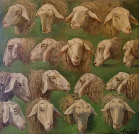 Albert Caullet (Belgian, 1875-1950) - Studies of Sheep Heads. Farm Animal Paintings, Sheep Drawing, Sheep Head, Sheep Paintings, Sheep Art, Digital Museum, Coban, Painting Collage, Collaborative Art