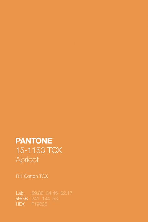 Light Orange Pantone, Apricot Crush Color Palette, Apricot Crush Pantone 2024, Apricot Crush Pantone, Apricot Pantone, Different Orange Shades, Apricot Color Palette, Apricot Crush Color, Pantone Color Palette