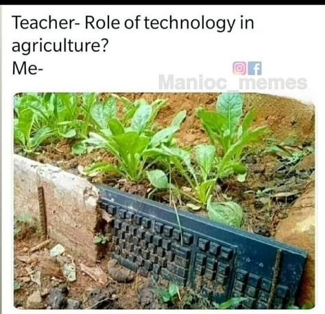 teacher vs student funny school memes #memes #meme Agriculture Students, Teacher Vs Student, Technology In Agriculture, Marriage Story, Very Funny Memes, Student Humor, Funny School, Computer Engineering, Learn Programming