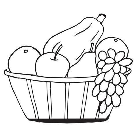 Fruit Basket Drawing, Nursery Drawings, Fruit Sketch, Vegetable Drawing, Kids Fruit, Vegetable Pictures, Basket Drawing, Fruit Coloring Pages, Fruits Drawing