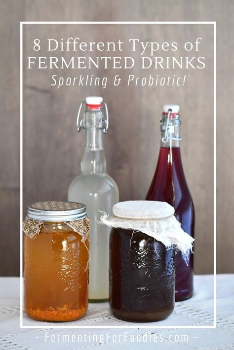 Fermented Soda Recipes, Home Made Soda, Fermented Soda, Bog Witch, Low Sugar Drinks, Fermented Drinks, Kombucha Flavors, Spicy Drinks, Homemade Kombucha