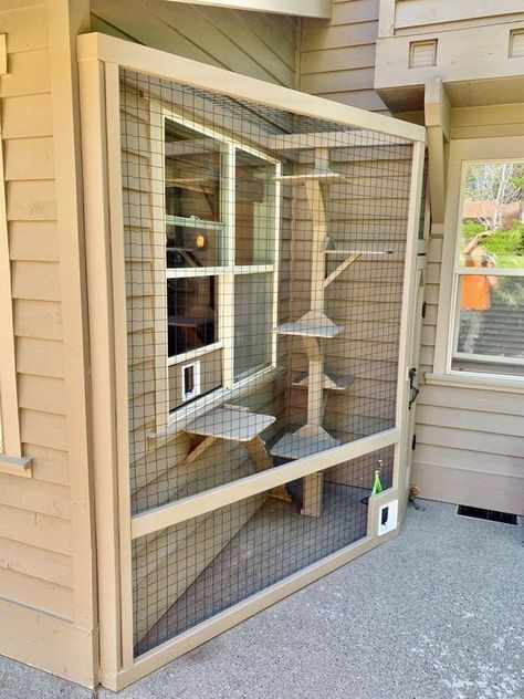 (paid link) Six Catio Ideas | How will one make my cat purr for joy? Katt Diy, Katt Grejer, Cat Enclosures, Koti Diy, Cat Patio, Outdoor Cat Enclosure, Cat House Diy, Outdoor Cat House, Cats Diy Projects