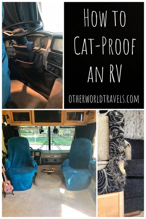 Rv Cat, Biting People, Rv Pet, Cats Happy, Camping With Cats, How To Cat, Travel Trailer Camping, Living With Cats, Diy Camper Remodel