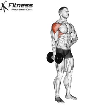 Shoulder Workout Routine, Trening Sztuk Walki, Personalized Workout Plan, Gym Workouts For Men, Abs Workout Gym, Weight Training Workouts, Body Workout Plan, Biceps Workout, Weight Workout Plan