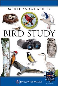 Bird Study Merit Badge Boy Scouts Merit Badges, Bird Study, Boy Scout Patches, Scout Uniform, What Is A Bird, Scout Camping, Merit Badge, Eagle Scout, Boy Scouts Of America