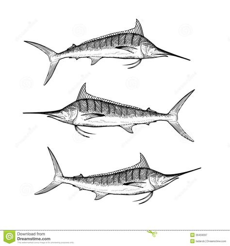 Blue Marlin Drawing, Blue Marlin Tattoo, Marlin Tattoo, Blue Marlin, Small Tattoos, How To Draw Hands, Black And White, Tattoos, Drawings