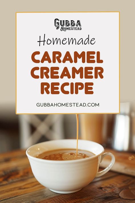 Carmel Creamer Diy, Homemade Salted Caramel Coffee Creamer, Diy Caramel Macchiato Creamer, Carmel Coffee Creamer, Homemade Caramel Macchiato Creamer, Best Homemade Coffee Creamer, Carmel Coffee Creamer Recipe, Diy Sugar Free Coffee Creamer, Homemade Caramel Coffee Creamer