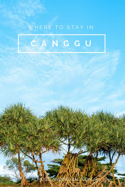 Where to stay in Canggu Bali: the best hotels, best areas to stay, and how to book. Bali Accommodation, Canggu Bali, Bali Hotels, Bali Travel, Places To Eat, Best Hotels, Bali, Good Things, Hotel