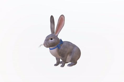 Google's next 3D animal is the Easter Bunny Bunny Gifs Cartoon, Gif Color, Animated Bunny, Rabbit Gif, Gif Background, Rabbit Costume, Rabbit Eating, The Easter Bunny, Cartoon Background