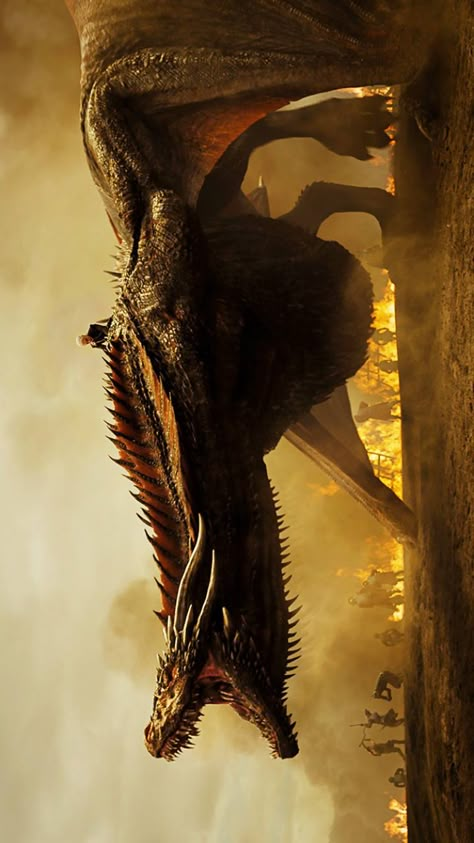 game of thrones season 7 Dessin Game Of Thrones, Drogon Game Of Thrones, Game Of Thrones Facts, Game Of Thrones Poster, Game Of Thrones Dragons, Got Game Of Thrones, Game Of Thrones Quotes, Got Dragons, Game Of Thrones Funny