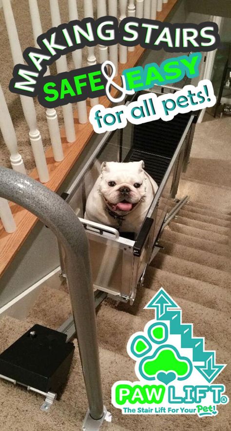 Diy Pet Ramp For Stairs, Stair Ramp For Dogs, Diy Dog Elevator, Dog Elevator For Stairs, Diy Dog Ramp For Stairs, Dog Elevator, Diy Pet Stairs, Dog Stairs Diy, Dog Ramp For Stairs