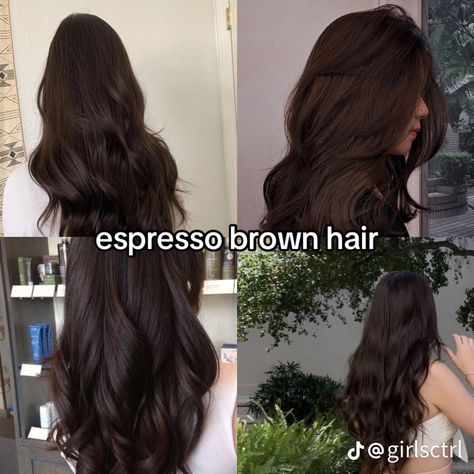 Espresso Brown Hair Color, Espresso Brown Hair, Espresso Hair Color, Dark Brunette Hair, Bridget Bardot, Brown Hair Looks, Brown Hair Inspo, Brown Hair Color, Hairstyles For Layered Hair