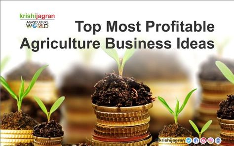 Farming Business Ideas, Agriculture Business Ideas, Farming Ideas Agriculture, Agriculture Business Plan, Business Ideas Philippines, Farming For Profit, Farm Crops, Medicine Plants, Shrimp Farming