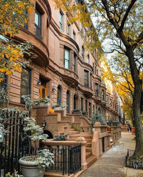 5,976 Likes, 32 Comments - New York City (@newyorkarea) on Instagram: “Beautiful bay windows on the UWS. 📸 : @an_uptown_girl” Upper West Side Nyc, Backyard Flowers Garden, Nyc Instagram, Public Space Design, Travel Architecture, Bay Windows, Architecture Landscape, New York Aesthetic, Upper West Side