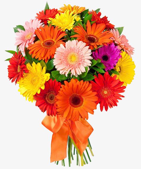 flower,flowers and plants,souvenir,free matting,hd image,seventh,evening,moon,flowers,plants,free,matting,hd,image,flowers clipart,free clipart,matting clipart Anthurium Bouquet, Flower Bokeh, Flower Bouquet Png, Flower Bouquet Delivery, Birthday Flowers Bouquet, Bouquet Delivery, Online Flower Delivery, Fresh Flower Bouquets, Cheap Flowers