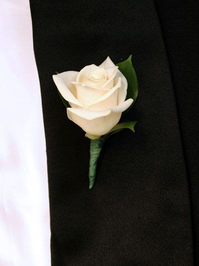 single ivory rose boutonniere | {Style} Your Groom | Pinterest ... Wedding Flowers White Roses, White Rose Boutonniere, Button Holes Wedding, Groomsmen Boutonniere, Rose Boutonniere, Groom Boutonniere, White Wedding Flowers, Boutonniere Wedding, Cream Roses