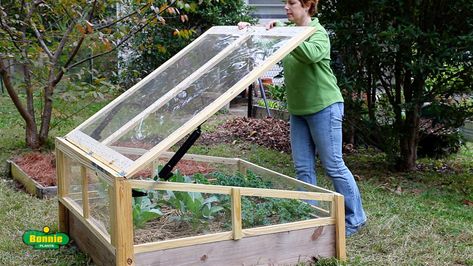 how to build a raised bed cold frame Diy Greenhouse Cover For Raised Bed, Cold Frame Raised Bed, Bonnie Plants, Cold Frame Plans, Cold Frame Diy, Cold Frame Gardening, Building Raised Beds, Cold Frames, Garden Boxes Diy