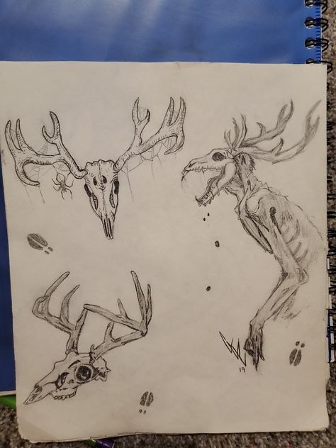 Deer Skull Drawing, Deer Skull Art, Skull Reference, Deer Drawing, Skeleton Drawings, Creepy Drawings, Monster Drawing, Deer Skulls, Creature Drawings