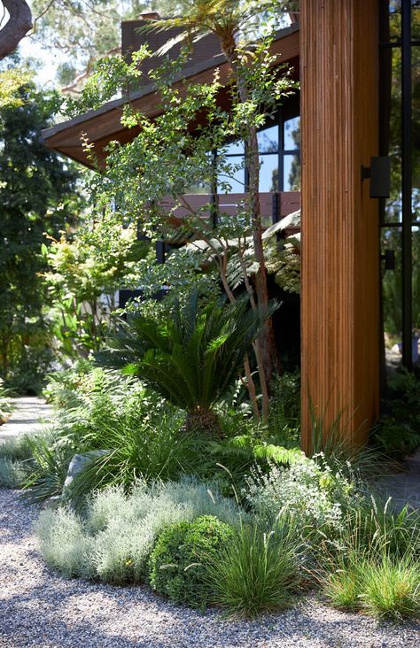 A QUINCY JONES VS TERREMOTO | TERREMOTO.LA A Quincy Jones, Modern Mediterranean, Quincy Jones, Privacy Fences, Beach Shack, Landscape Architecture Design, Christchurch, Front Garden, Native Plants