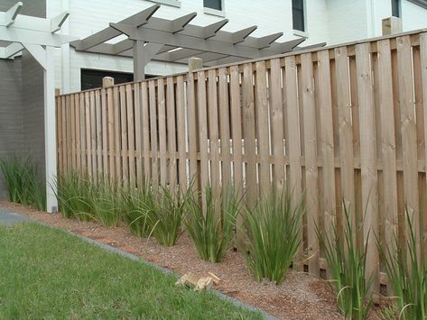 Timber Fencing, Picket Fences, Timber Paling Fence - Amazing Fencing about $20/m Fence Paling Ideas, Paling Fence, Fence Inspiration, Front Fences, Sandstone House, Fences Ideas, Timber Fence, Design Fence, Picket Fences