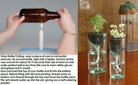 How to make a vase out of a glass bottle Wine Bottle Planter, Self Watering Plants, Wine Bottle Diy, Self Watering Planter, Diy Planters, Wine Bottle Crafts, Self Watering, Bottle Art, Diy Projects To Try