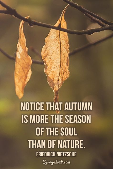 Autumn Quotes Short, Quotes About Autumn Fall, Autumn Is A Second Spring Quote, Autumn Lover Quotes, Quotes On Autumn Season, Autumn Poems Quote, Quotes From Famous People, Short Sayings, Excited About Life