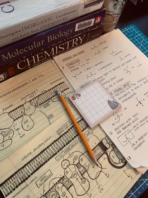 I have a passion for creating educational infographics to help students studying chemistry, biology, biochemistry, microbiology, chemical biology, organic chemistry, and other science based classes in college and high school throughout the fall and spring semesters. I truly hope these graphics help with your continued studies in medical school #science #chemistry #biology #notetaking #notetakingtips #handwrittennotes #notetaking #notes #medicalnotes #nursingnotes #sciencenotes Biochemistry Aesthetic Notes, Science College Aesthetic, Lessons In Chemistry Aesthetic Book, Chemistry Astethic, Biology And Chemistry Aesthetic, Aesthetic Biochemistry, High School Science Teacher Aesthetic, Microbiology Aesthetic Notes, Chemistry A Level Aesthetic