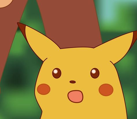 I like this face. Pikachu Meme, Surprised Pikachu, Pikachu, Wattpad